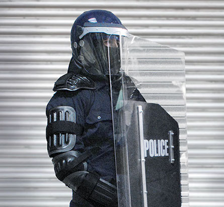 faceted shield
